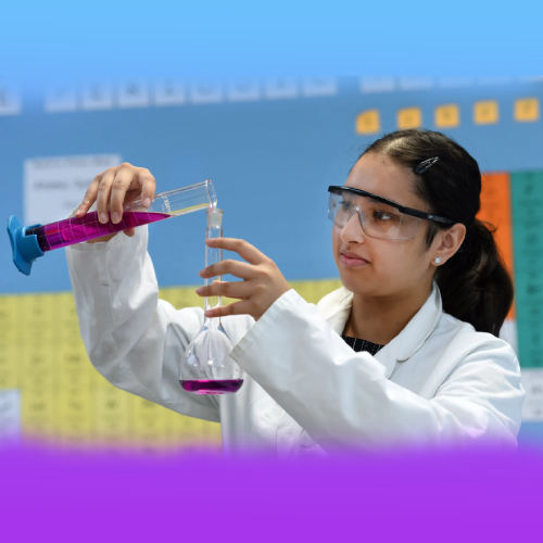 stem-ambassador500