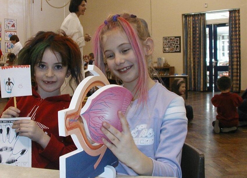 me-and-my-senses-Cropped-jpg